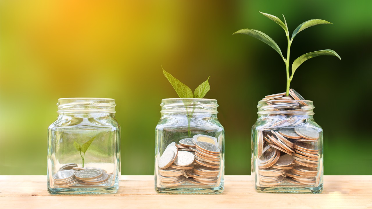 Contoh Investasi